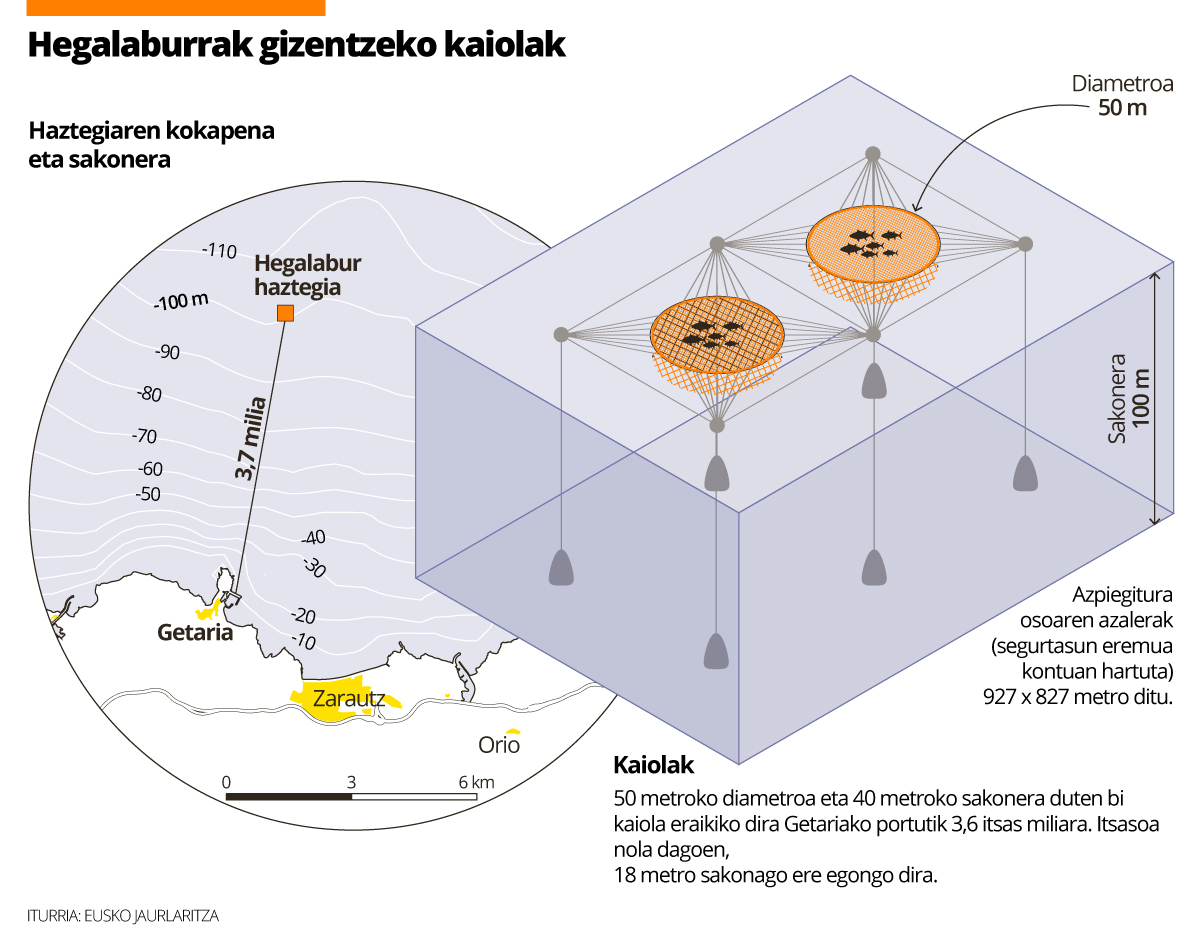 Getariako hegalabur haztegia, martxan hastear