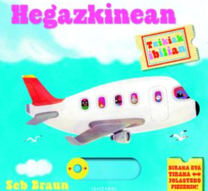 Hegazkinean