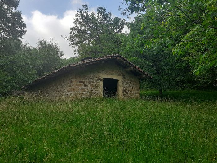 Borden Ibilbidea, historiaz, ondareaz eta naturaz gozatzeko txango ederra da. ARBIZUKO UDALA