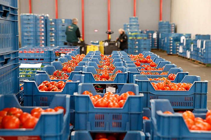 Tomate kutxak Herbehereetako Zaltbommelgo merkatuan salgai. BAS CZERWINSKI / EFE