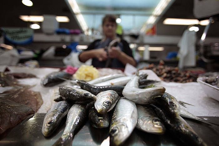 Sardinak, A Coruñako arrandegi batean. CABALAR, EFE