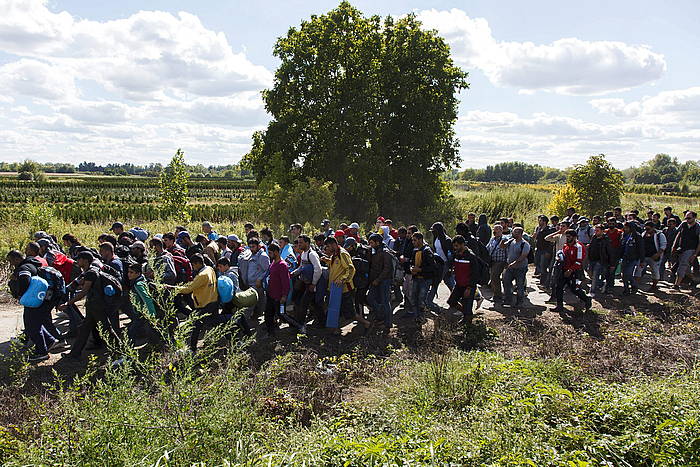 Iheslari talde bat, atzo, Kroaziatik Hungariako mugaldea zeharkatzen, Zakany ondoan. GYORGY VARGA / EFE