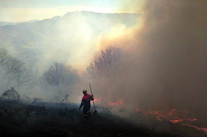 Arantzako sutearen irudia. NAFARROAKO GOBERNUA