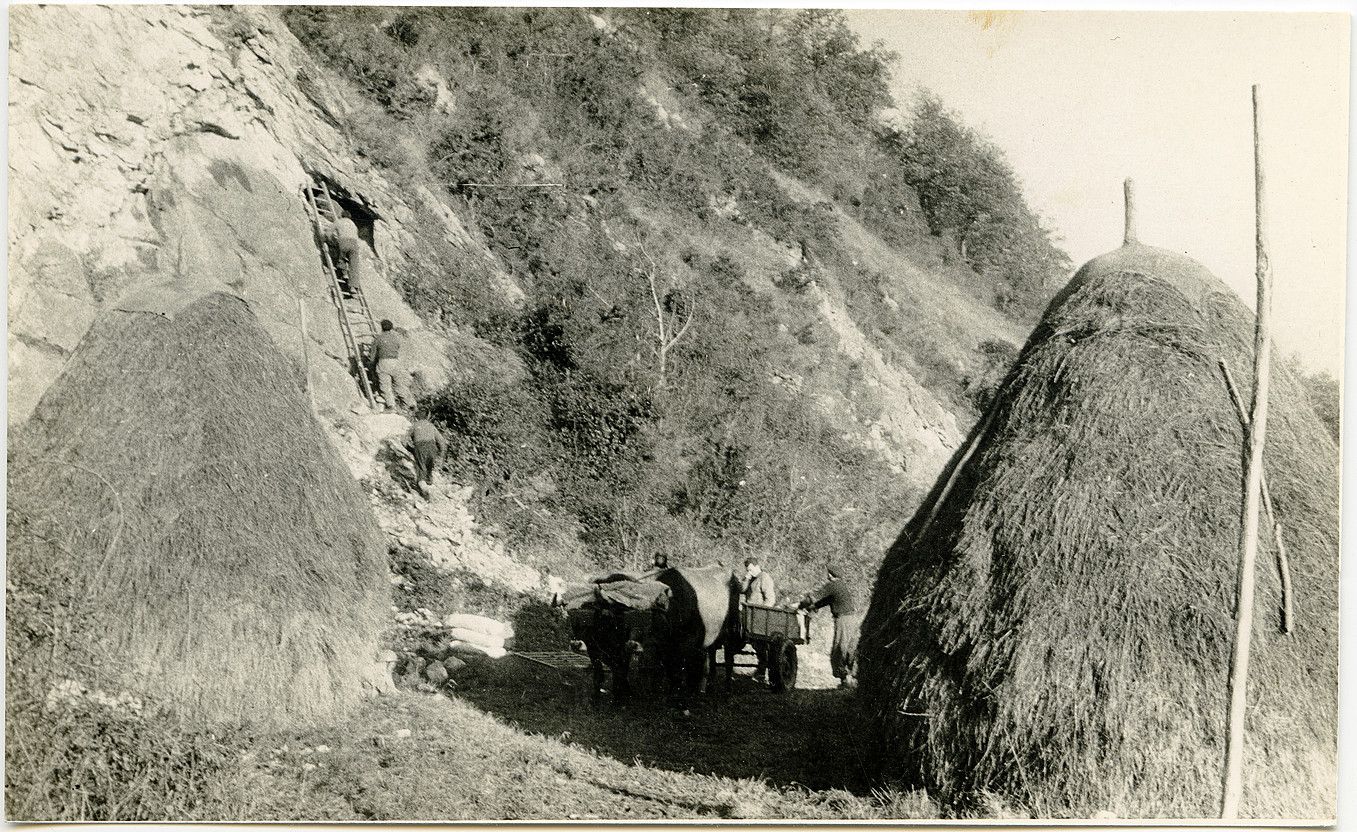 Altxerriko kobazuloan indusketa lanetan, 1962an. ARANZADI ZIENTZIA ELKARTEA.