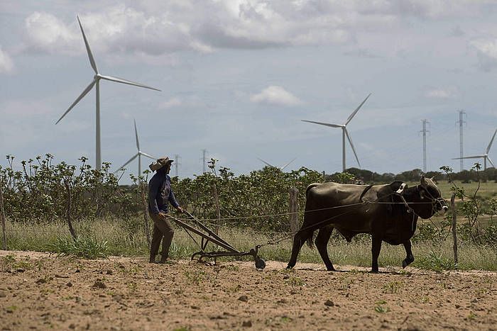 Iberdrolaren haize errota parkea Currais Novosen hirian, Iparraldeko Rio Grande estatuan (Brasil). MARCELO SAYAO / EFE