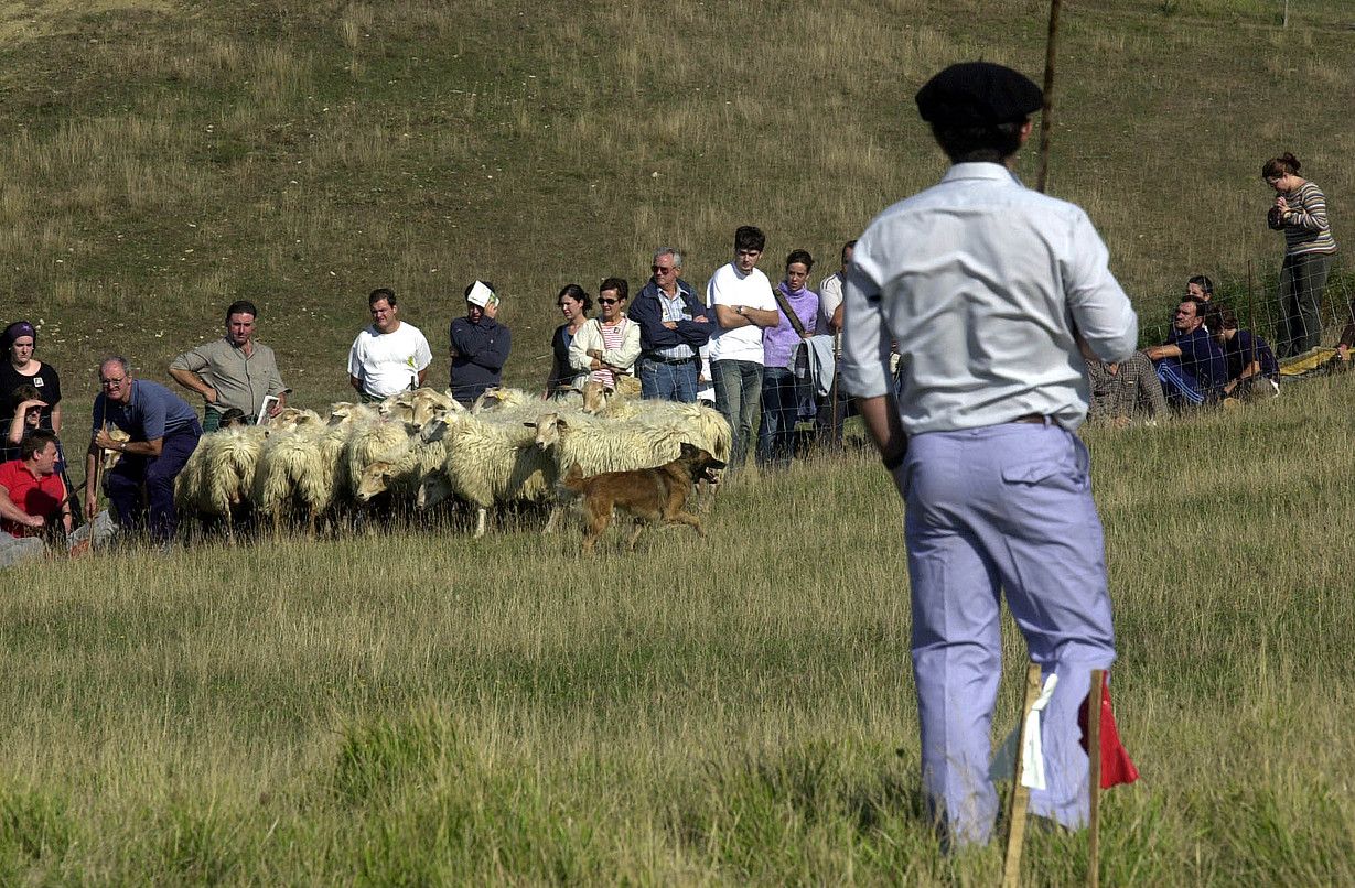 Igandean ospatuko dute Uharte Arakilgo Artzain Eguna. Irudian, artzain bat artaldearekin. LANDER FDZ. ARROIABE / ARP.