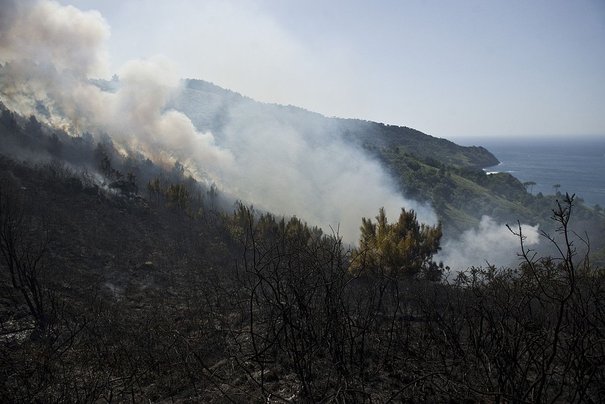 Iluntzerako lortu dute suhiltzaileek sua kontrolpean izatea Ulia mendian. JAGOBA MANTEROLA / ARGAZKI PRESS.