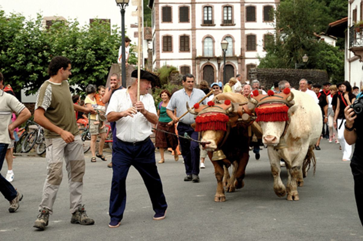 Antzina egiten zuten bidea egingo dute idiek, eta, monasteriora iristean, abadeari emango diote burdina. BERRIA.