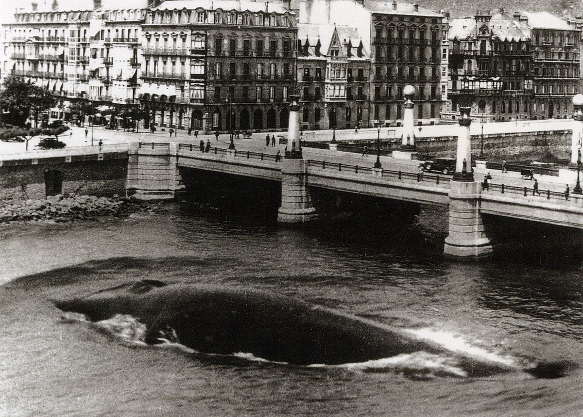 Balea bat, Kursaaleko zubiaren ondoan, Donostian. La Voz de España-k argitaratu zuen 1950ean. KUTXA FOTOTEKA.