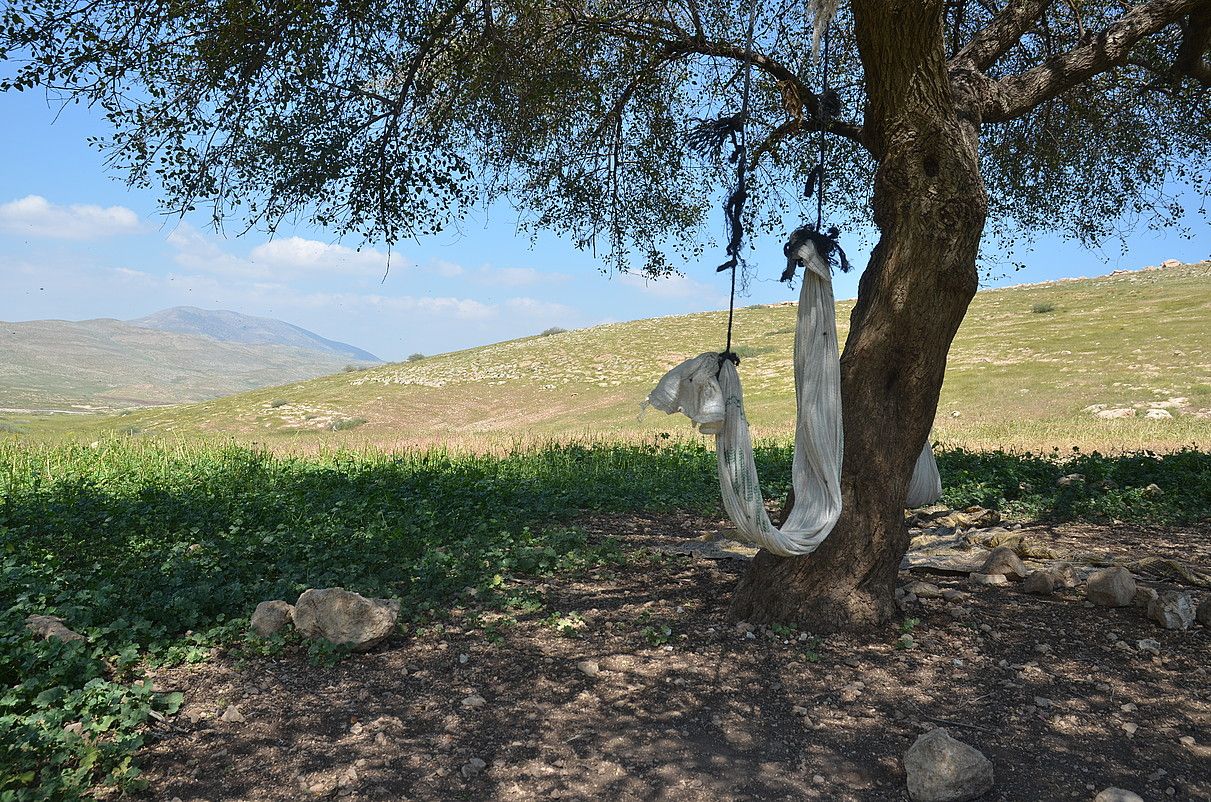 Samra eremua, Jordan ibar osoa bezala, palestinarren birika berdea da; han daude lurrik emankorrenak. COSIMO  CARIDI.