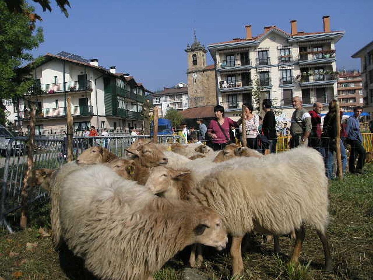 Euskal jatorriko animaliak ikusteko aukera izango dute erakusketara biltzen direnek. ANGEL ELORTZA/ GOIERRIKO HITZA.