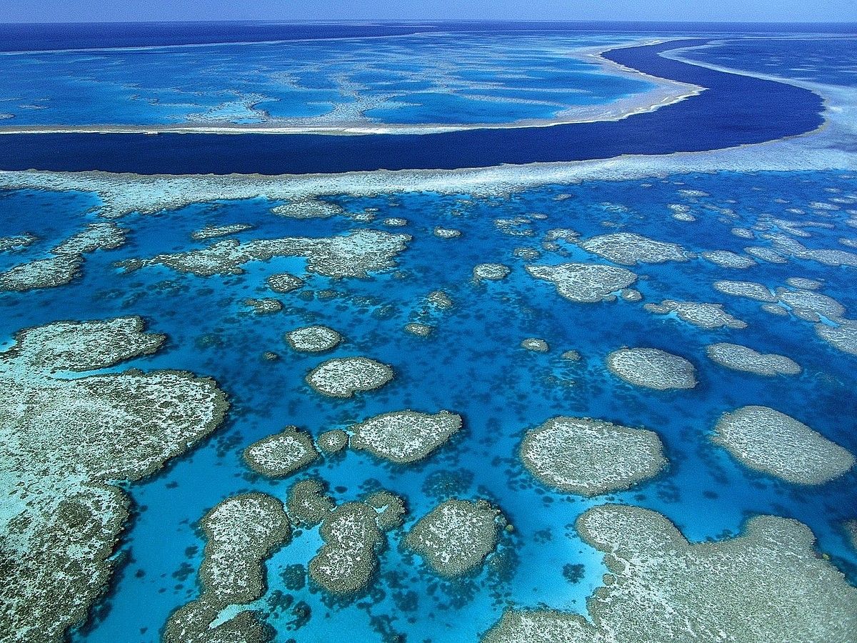 Australiako Koralezko Barrera Handia, naturak eskaintzen duen ikuskizun aparta da. ZONANEXO.