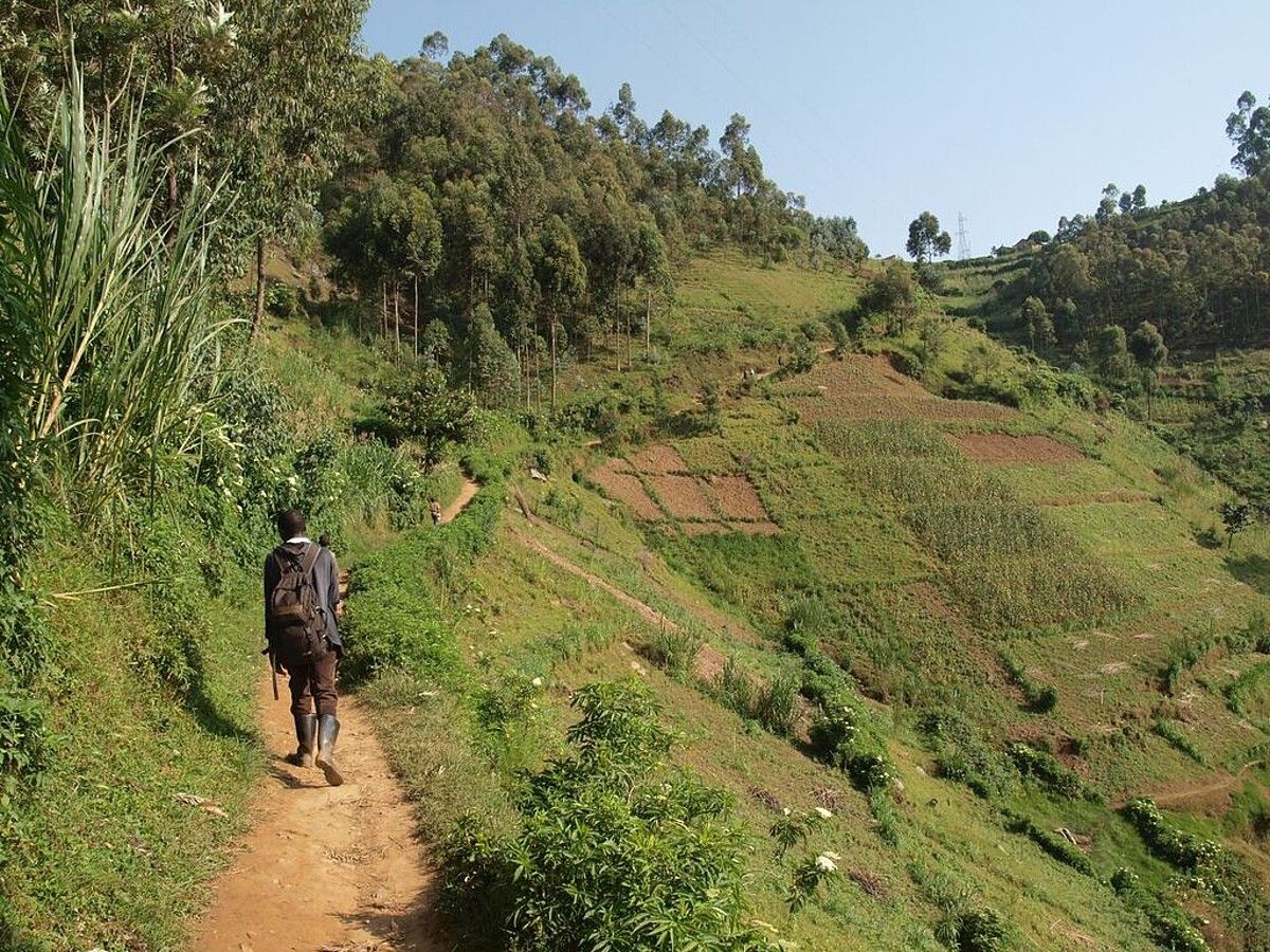 Kigalitik Kivu lakura eta Gomara (Kongo) doan errepidea: emakumeek karga astunak eramatendituzte buru gainean, eta bizikletak zernahi garraiatzeko baliatzen dira. I. DIEZ DE ULTZURRUN SAGALA.