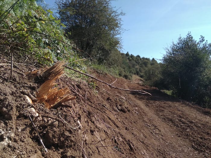 Aralarko Enirio eta Igaratza arteko bidea, bi guneak lotuko dituen pista eraikitzeko lanetan.