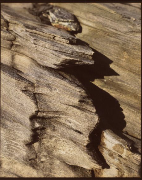 Paper fotografikoan inprimatutako argazki bat. Analogikoki errebelatuta dago, kolore beroak lortzeko. MARTIN DEL BUSTO