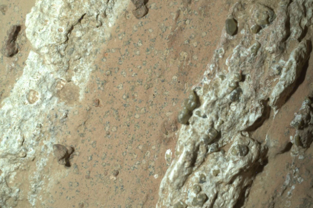 NASA'Cheyava Falls' arrokan aurkitutako leopardo itxurako orbanak. NASA/JPL-CALTECH/MSSS 