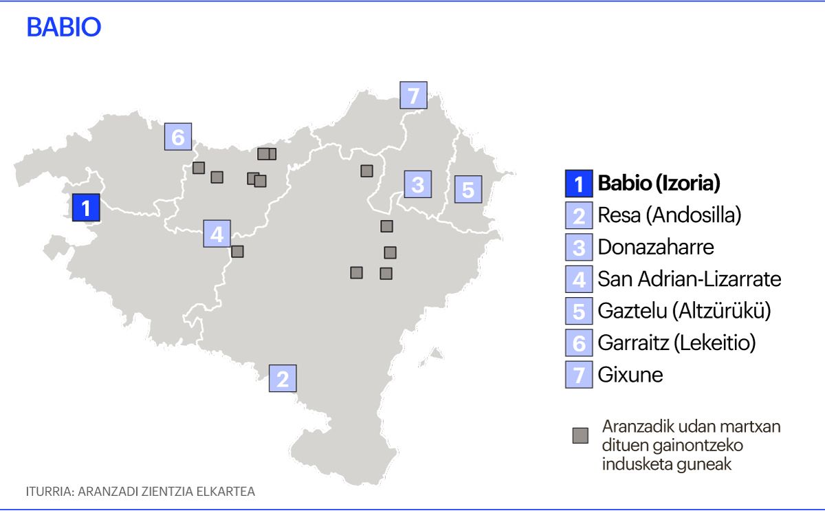 Indusketa mapa, Babio