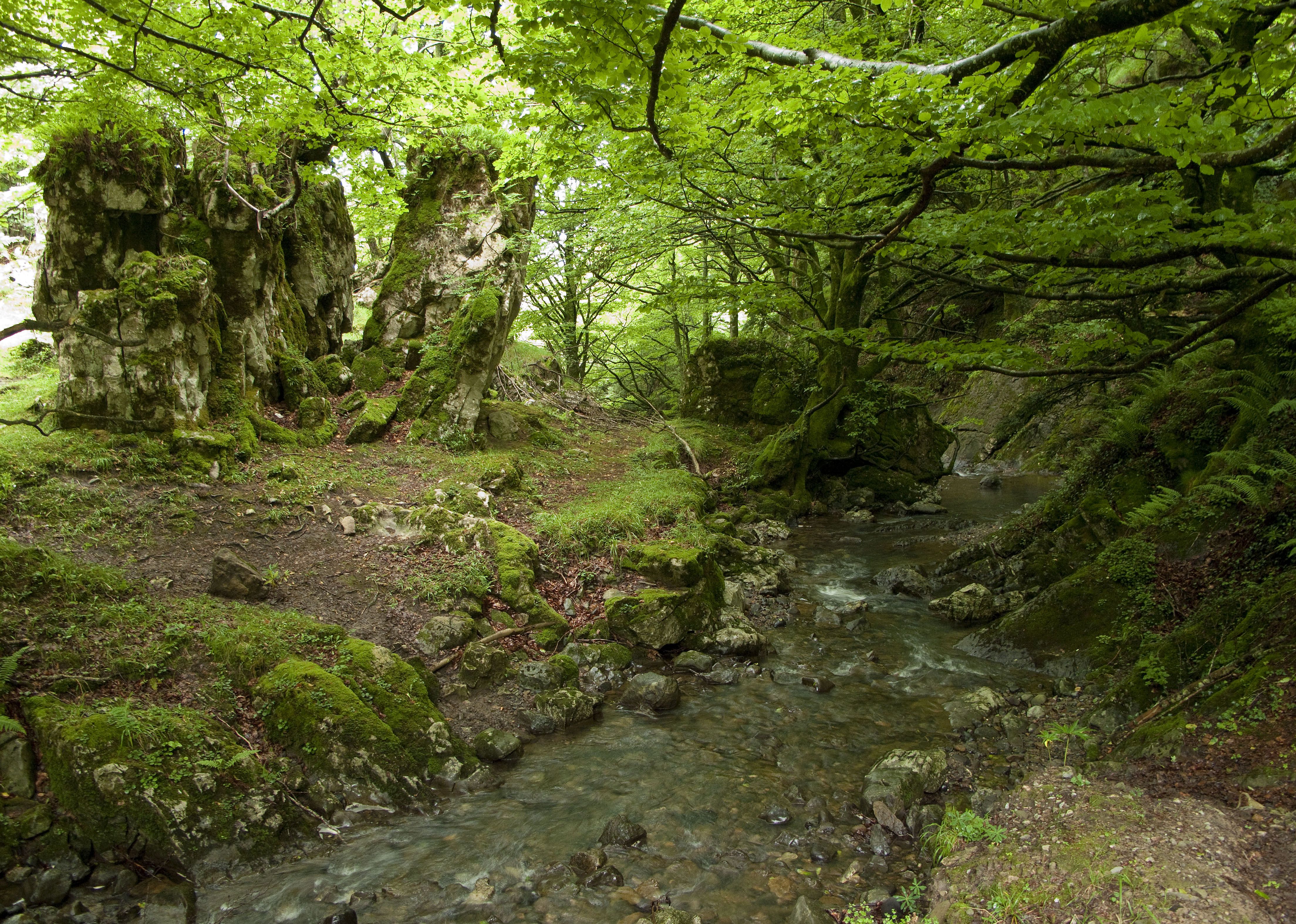 Ataungo Lizarrusti parketxea. ANDONI CANELLADA / ARGAZKI PRESS