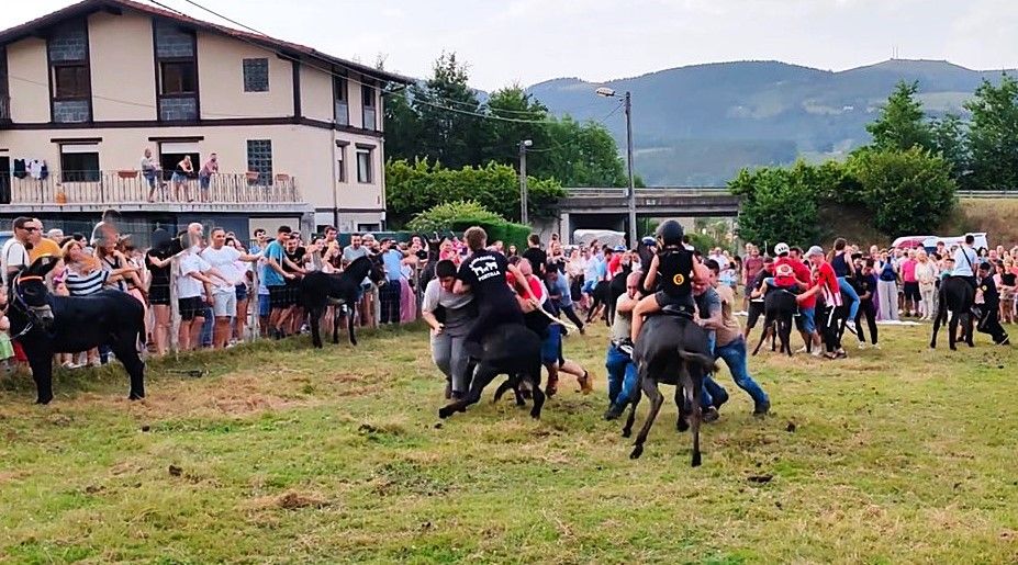 Zallako asto lasterketetako bat. HAIEKIN