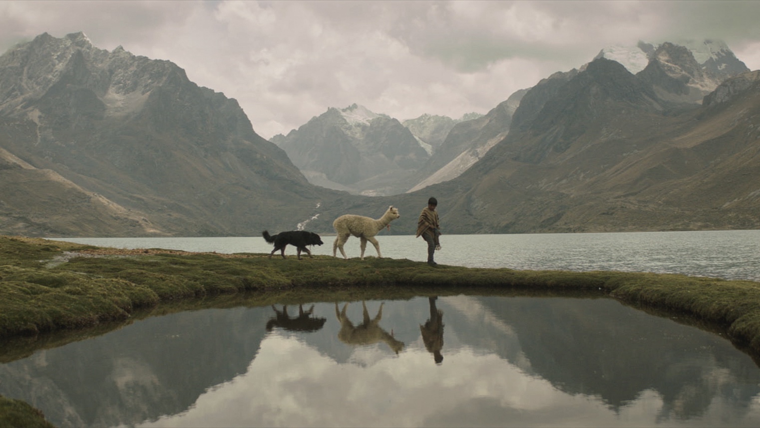 Franco Garcia Becerra (Peru) zinegilearen Raiz filmeko irudi bat