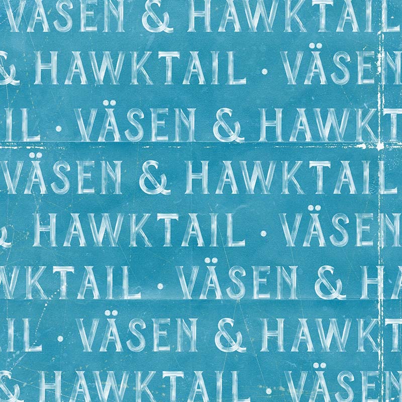 Vasen & Hawktail musikariek elkarlanean ateratako diskoaren azala.