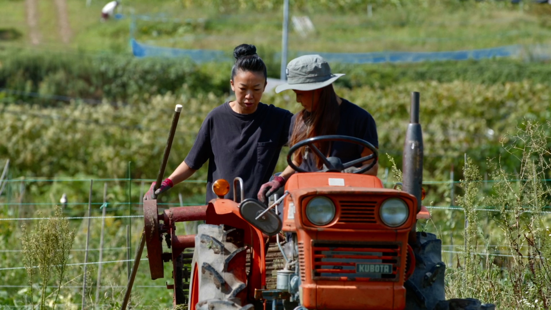 'Northern Food Story' 