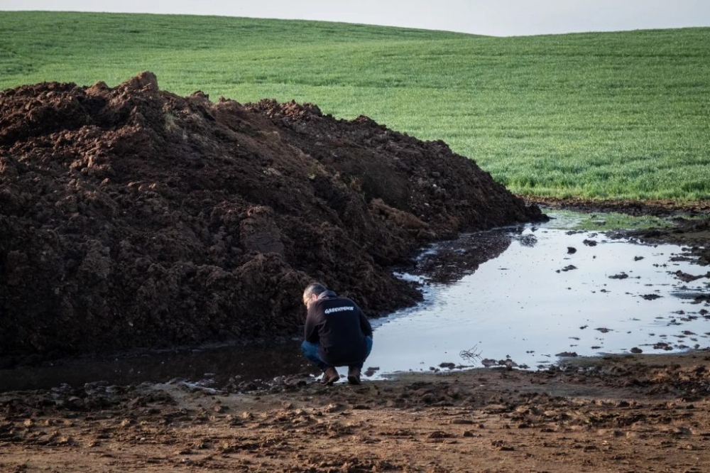 Greenpeace-eko kide bat, Valle de Odietaren makroetxealdearen inguruko urak aztertzen. BERRIA