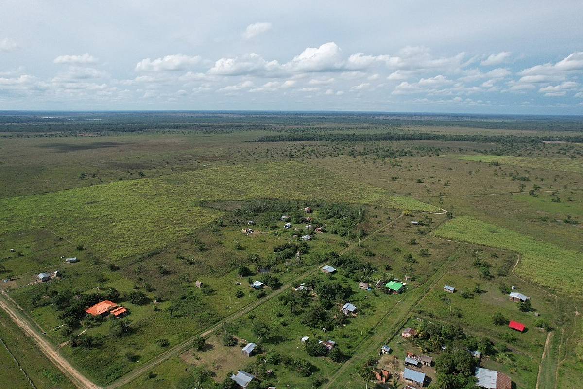 Boliviako Buena Vista inguruaren ikuspegia. Tacana lurralde indigenaren parte da, eta 2016an deforestatu egin zuten, azukre kanabera landatzeko.