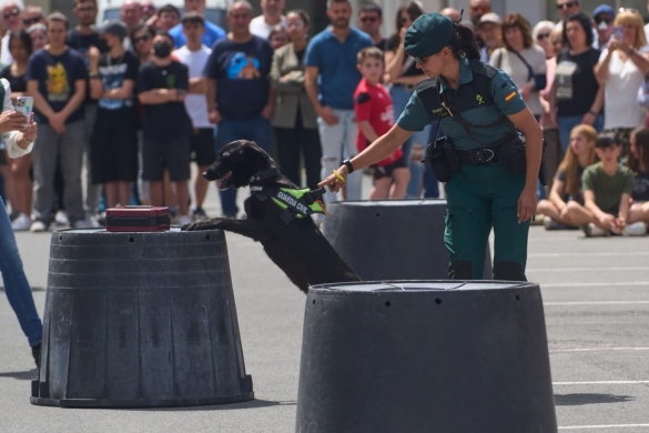 Guardia Zibilaren urriko erakustaldia, Bilbon. ADRIAN RUIZ HIERRO / EFE