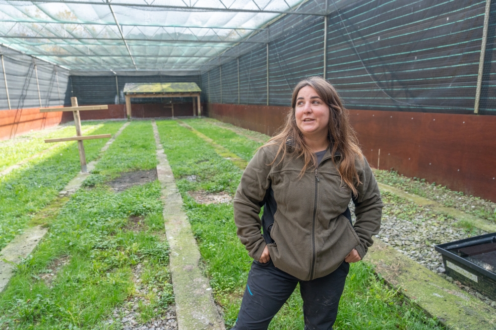 Laida Las Heras biologoa, Basabiziko albaitari laguntzailea. ANDONI CANELLADA / FOKU