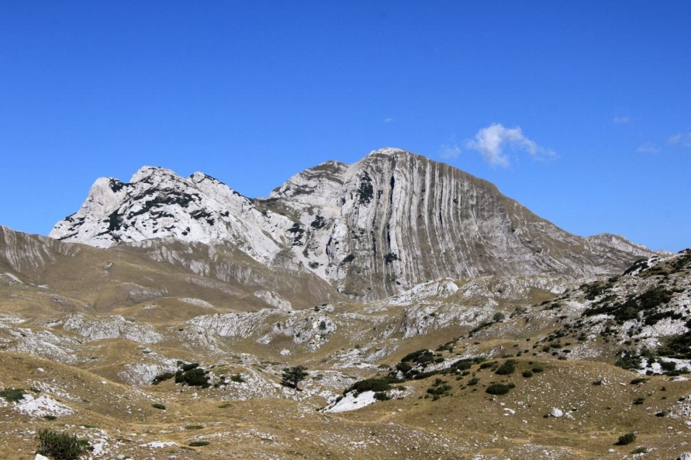 (ID_14514574) (/EZEZAGUNA) 4.durmitor-prutas