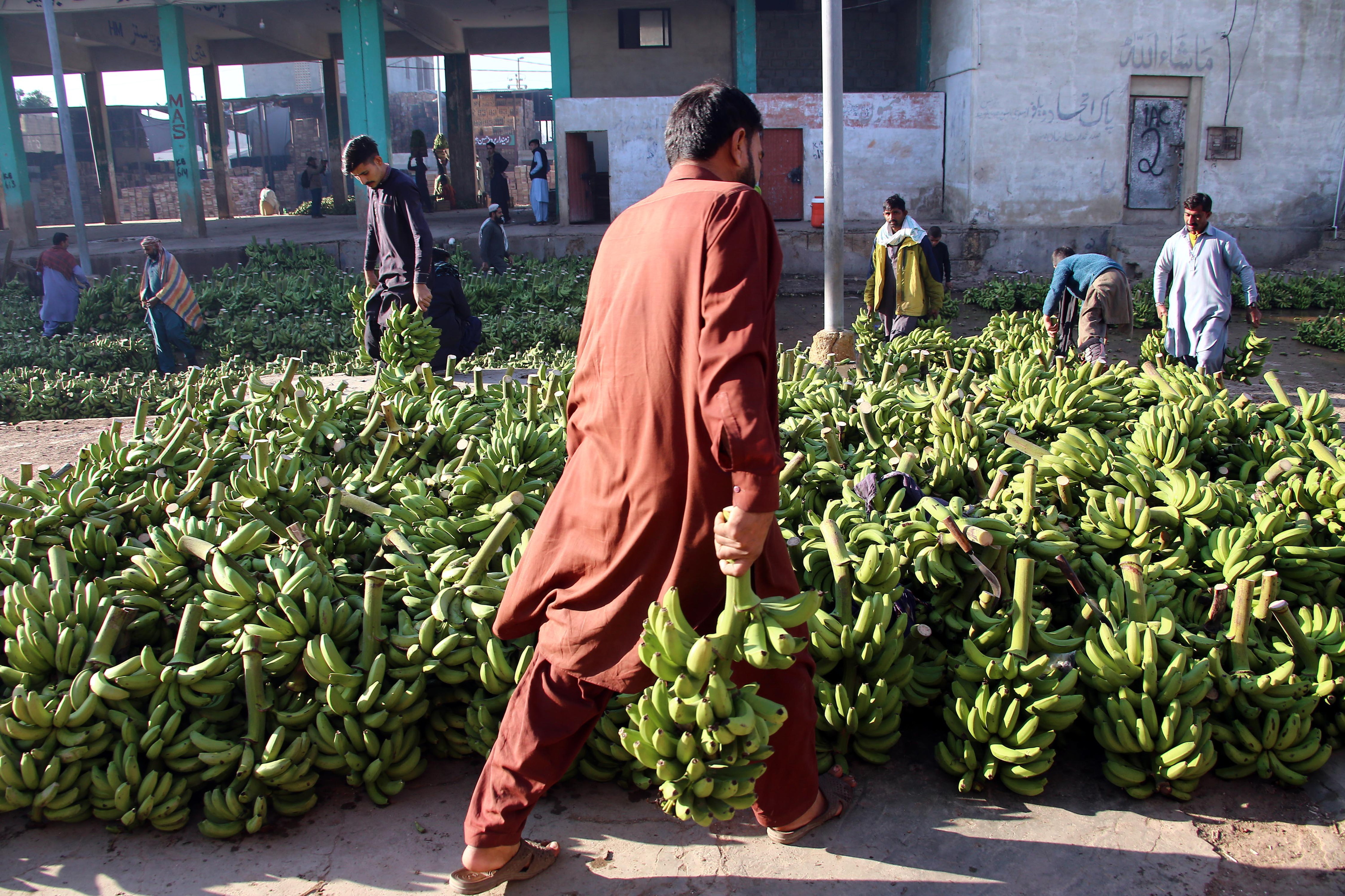 Nekazari batzuk produktuak saltzen azoka batean, Pakistanen. REHAN KHAN / EFE