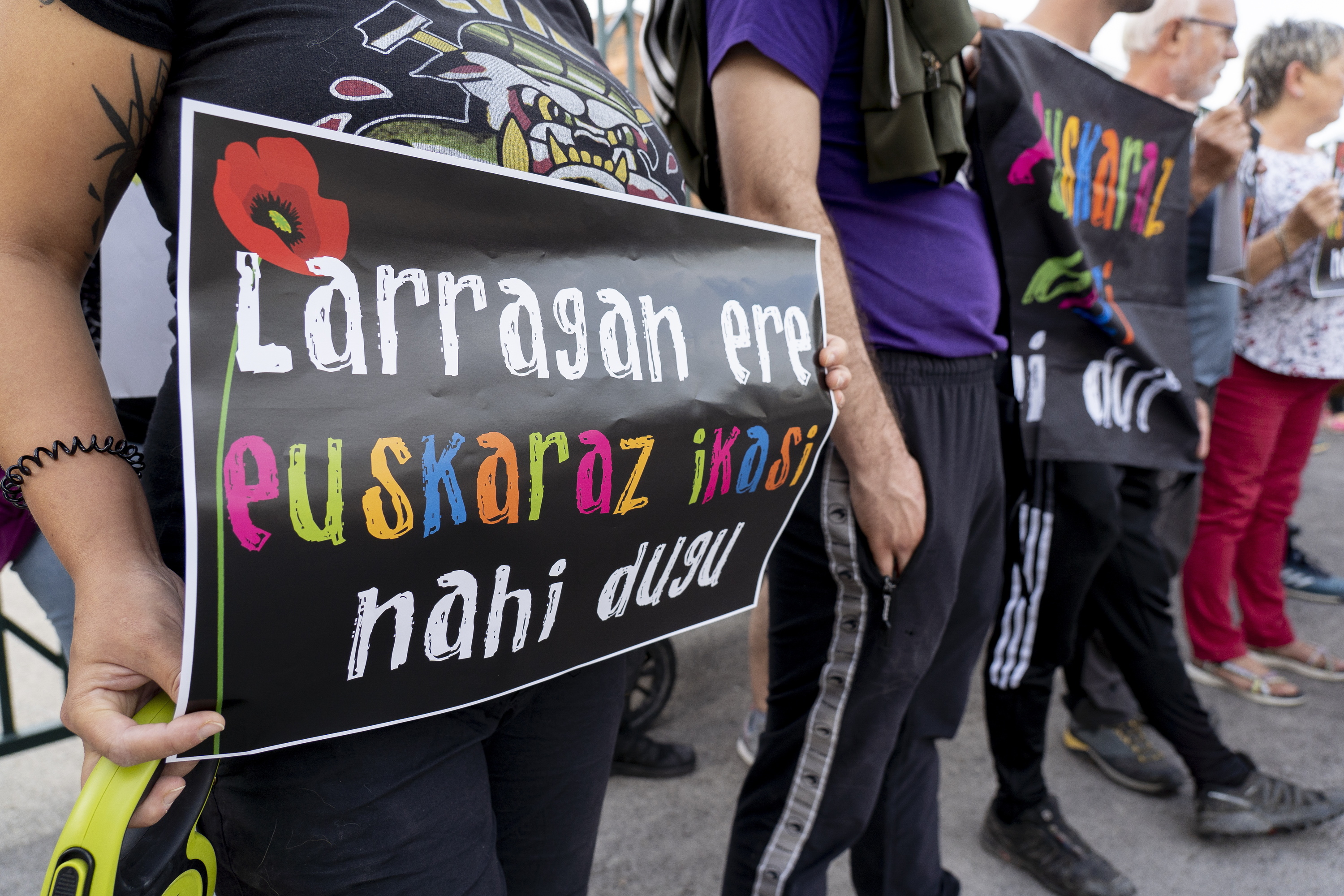 D ereduaren aldeko protesta bat, artxiboko irudi batean. IÑIGO URIZ / FOKU