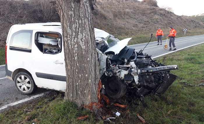 Autoak aurrez aurre jo du bide bazterreko zuhaitza. FORUZAINGOA