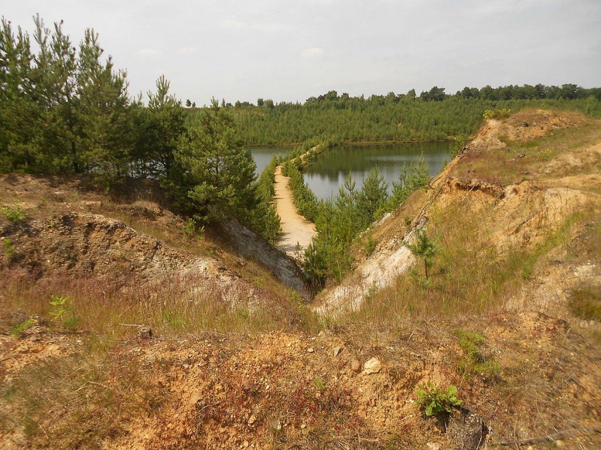 Flandriako Hoge Kempen (landazabal garaia, flandrieraz) natur parkean ari dira militarraren bila. CAMPINIA88